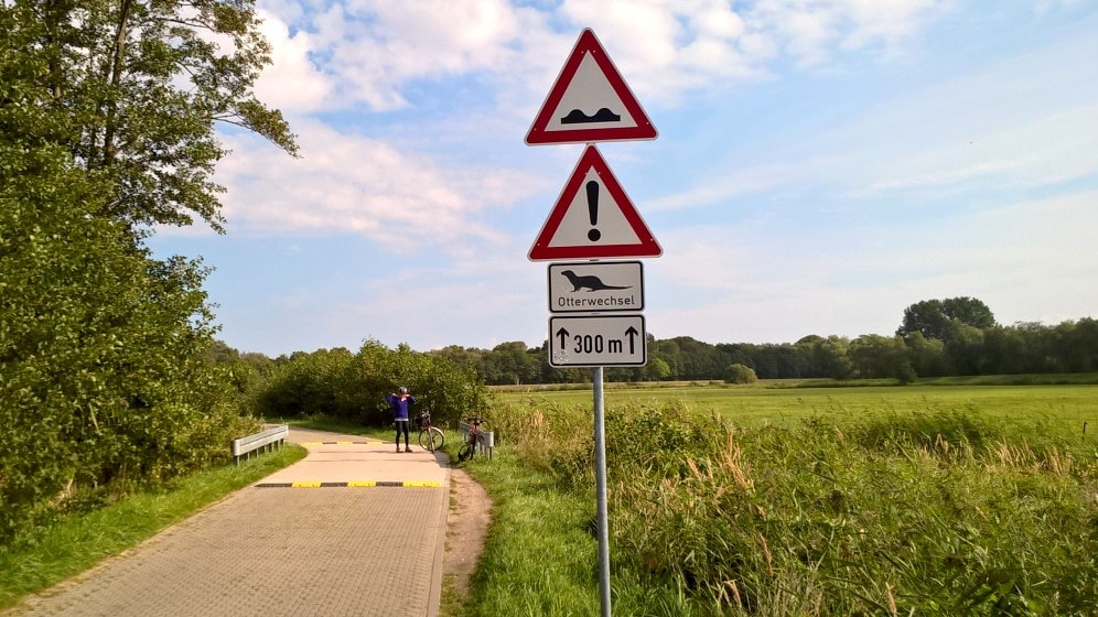 Achtung: Otter kreuzen