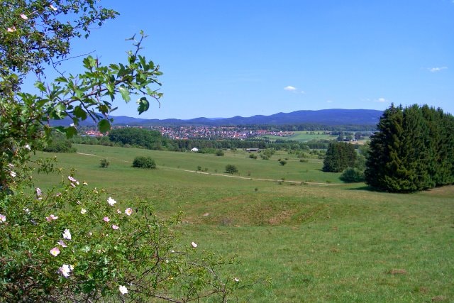 Blick zum Harz