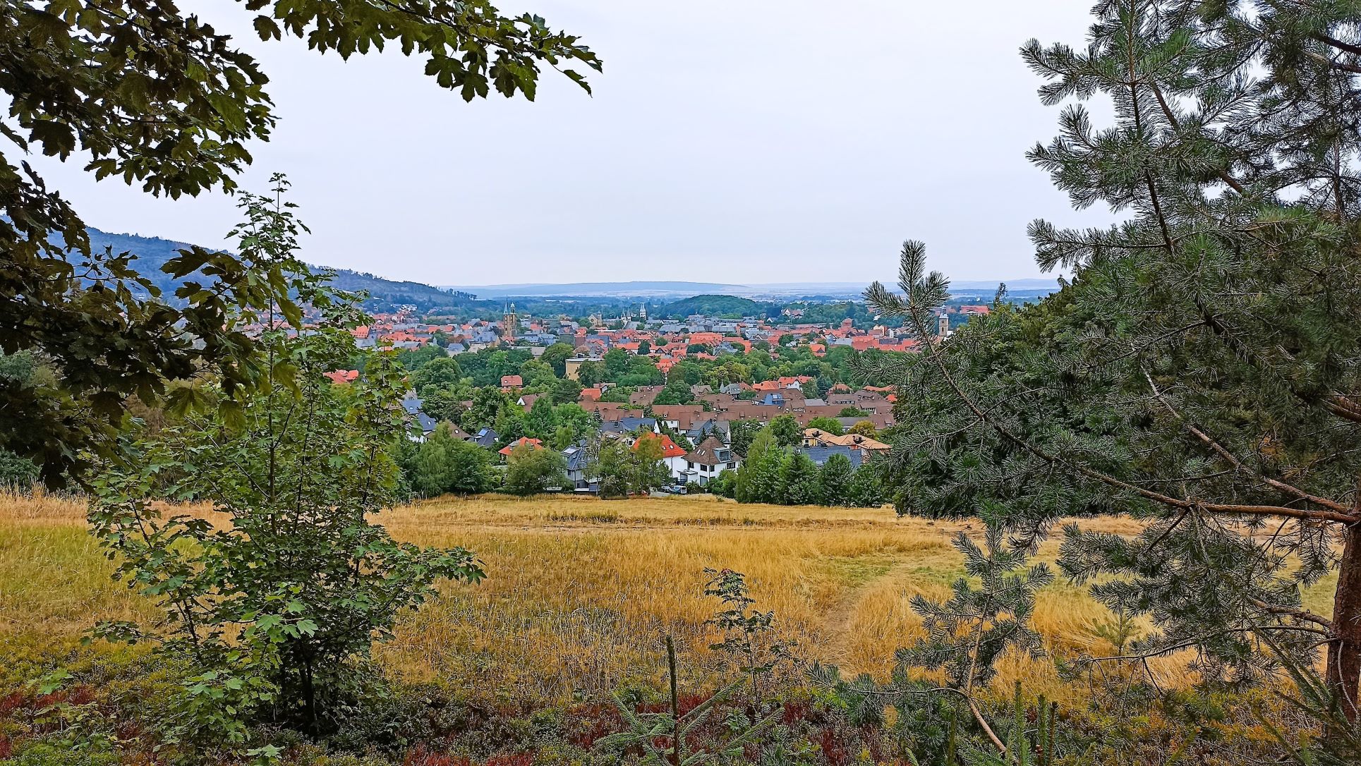 Blick auf Goslar