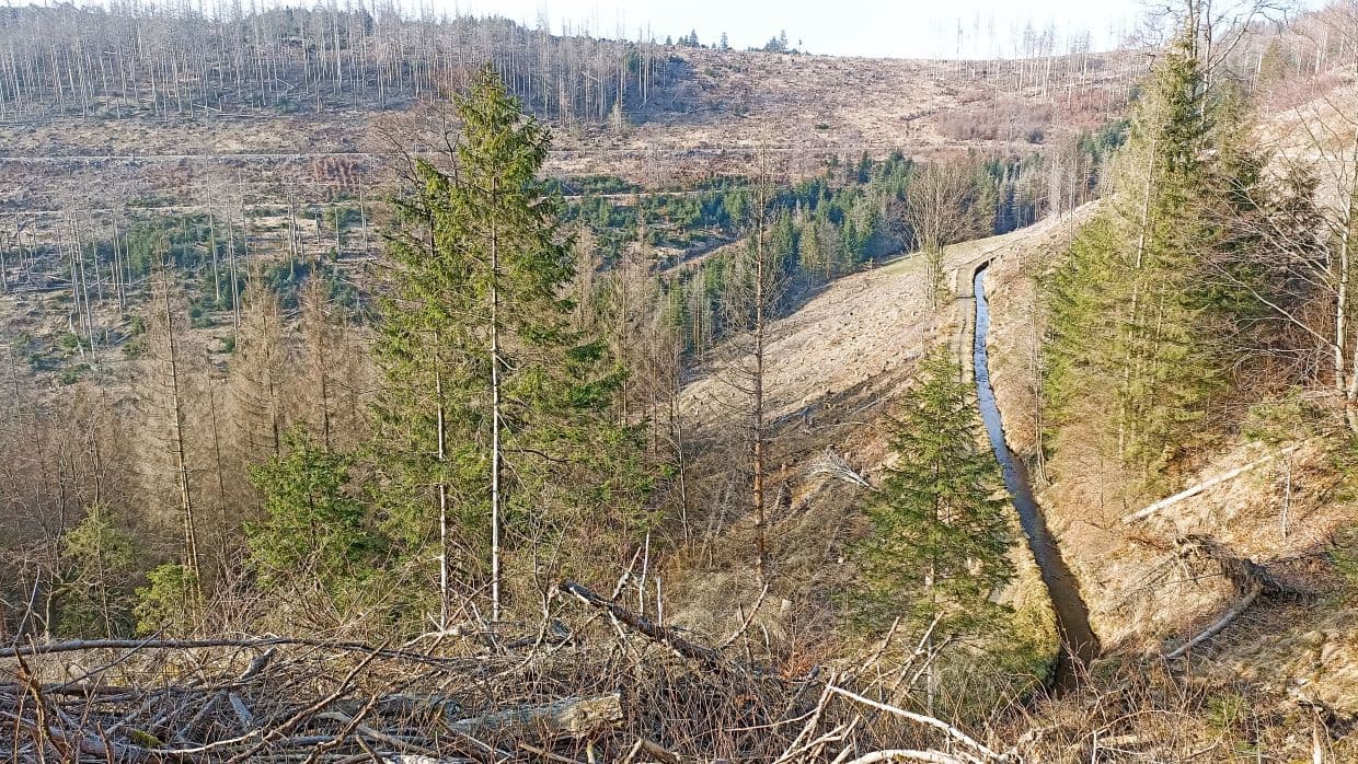 Morgenbrodtstaler Graben