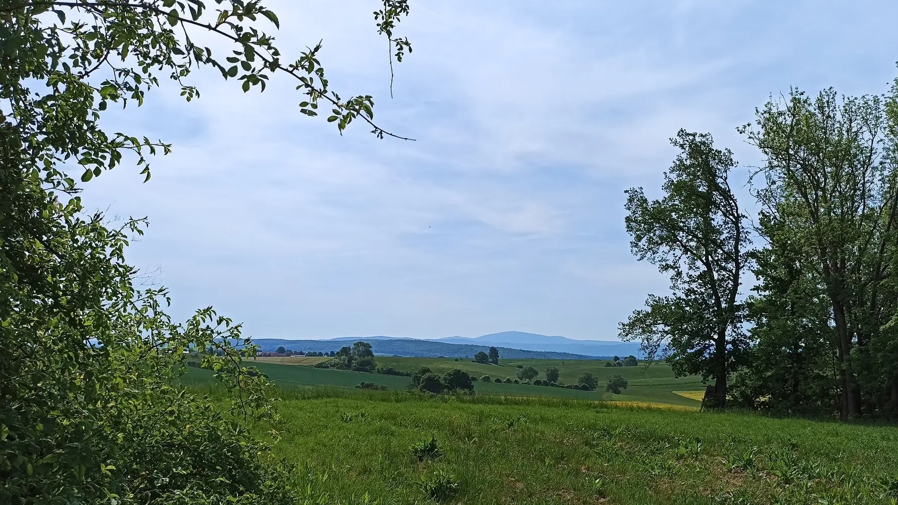 Blick zum Harz