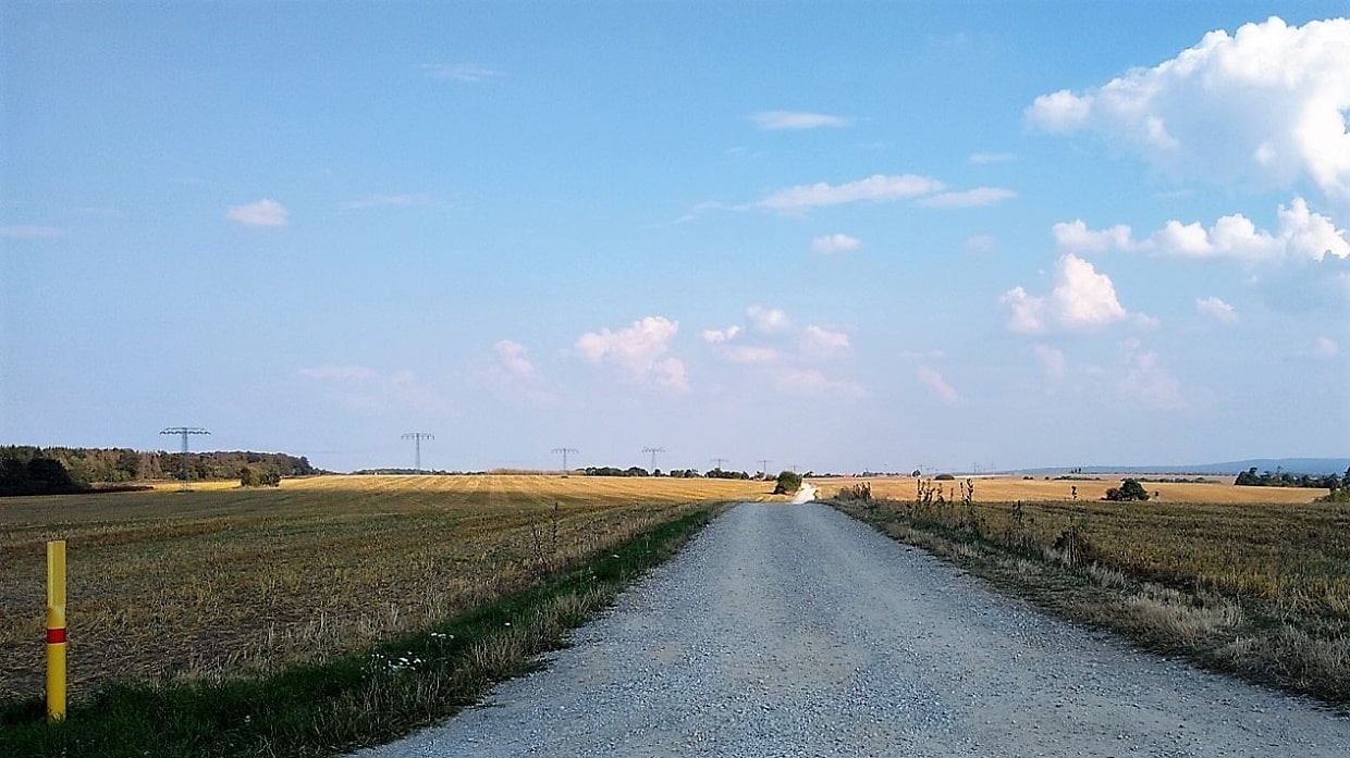 Wiesen bei Elbingerode